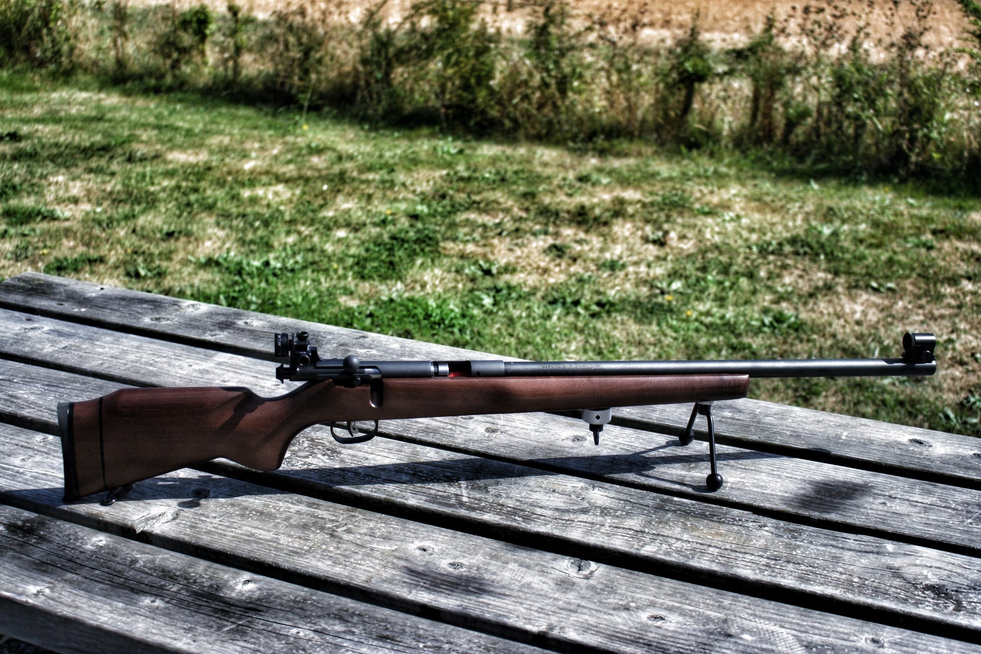 Army Cadet Force - 22LR Small Bore Rifle Coaching - Rifleman Firearms